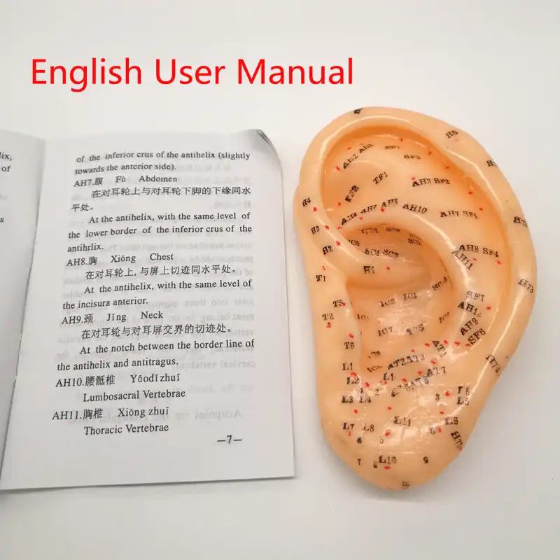Vaccaria Semi Cornici E Articoli Da Esposizione Orecchie Adesivi Ago Di Agopuntura Auricolare Paster Presse Semi Con Inglese Modello Orecchio Agopuntura Aliexpress