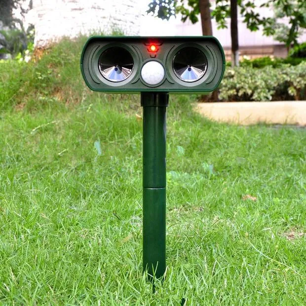solar animal drive