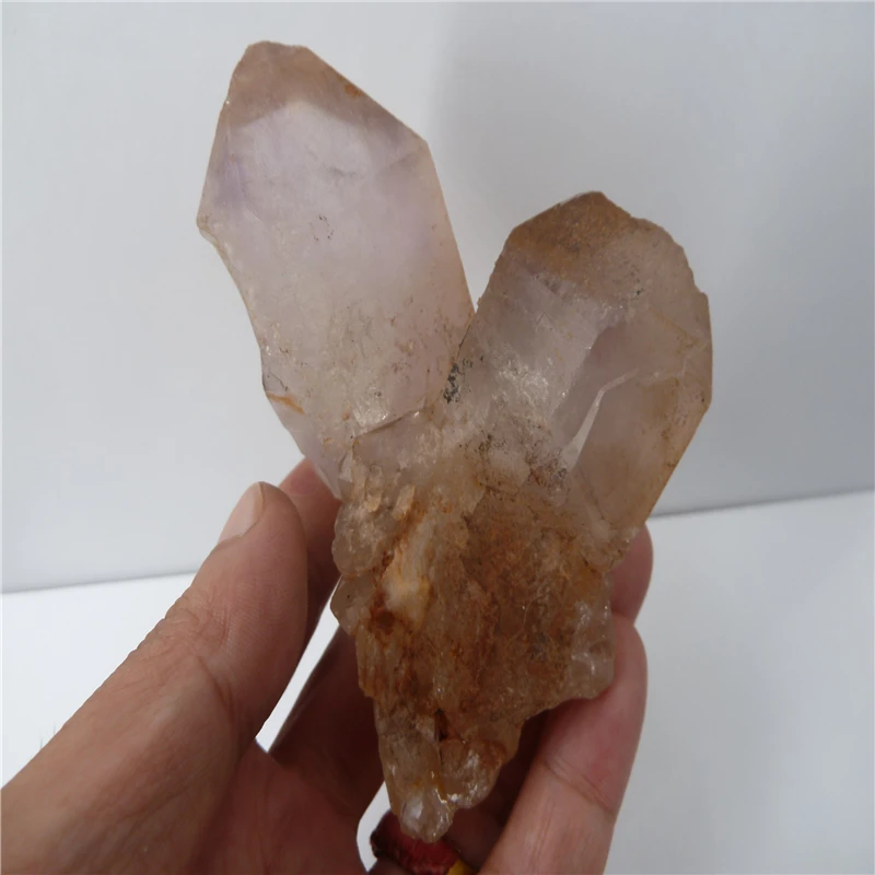 P1500269