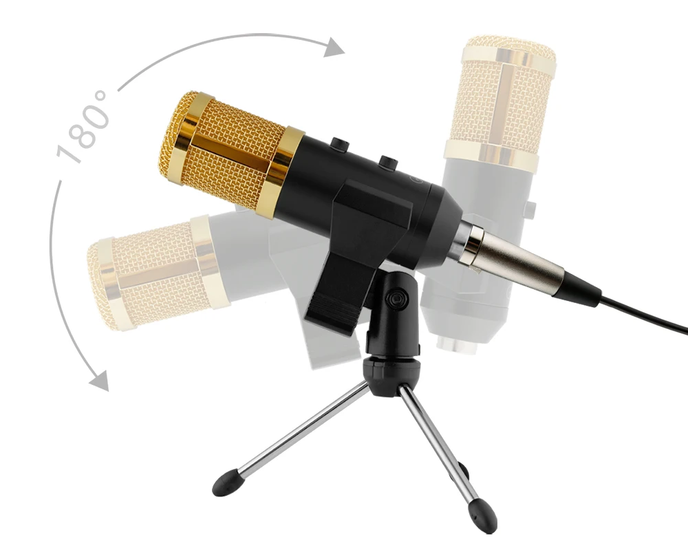 USB Microphone (6)
