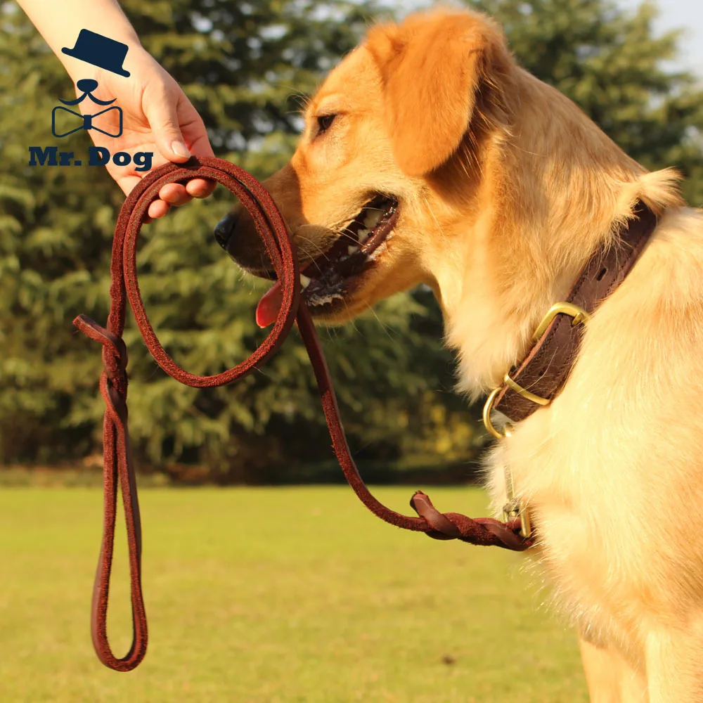 2016 Leather Large Pet Dog Leash Set for Dogs Collar Pet Traction Rope+Collar Dog Lead Setdog