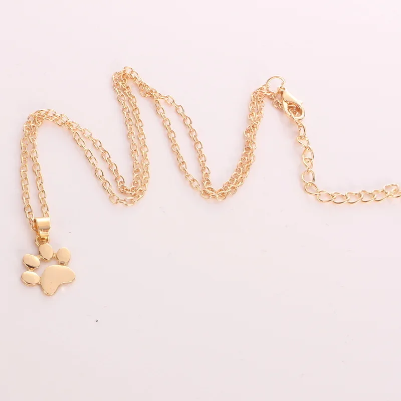 XL0026A (4)
