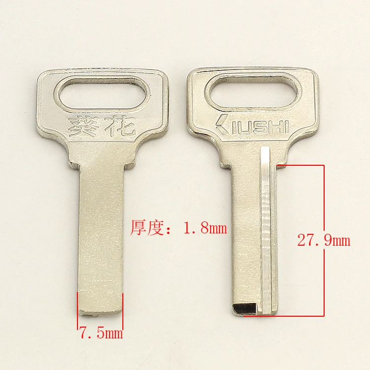 B123 Большой подсолнечника передняя левая заготовка для ключа