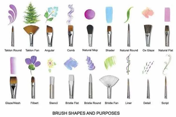 paint-brush-shapes-and-purposes