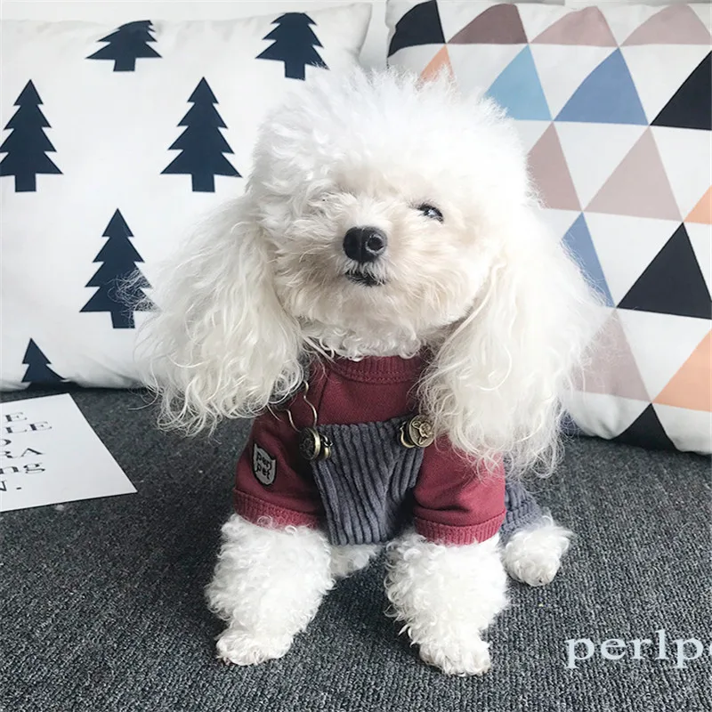 QQ20180903200648