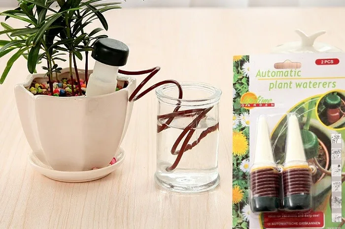 6PCS Self Watering Probes Indoor Automatic Watering System Irrigation Equipment Houseplant Spikes for Plant (1)