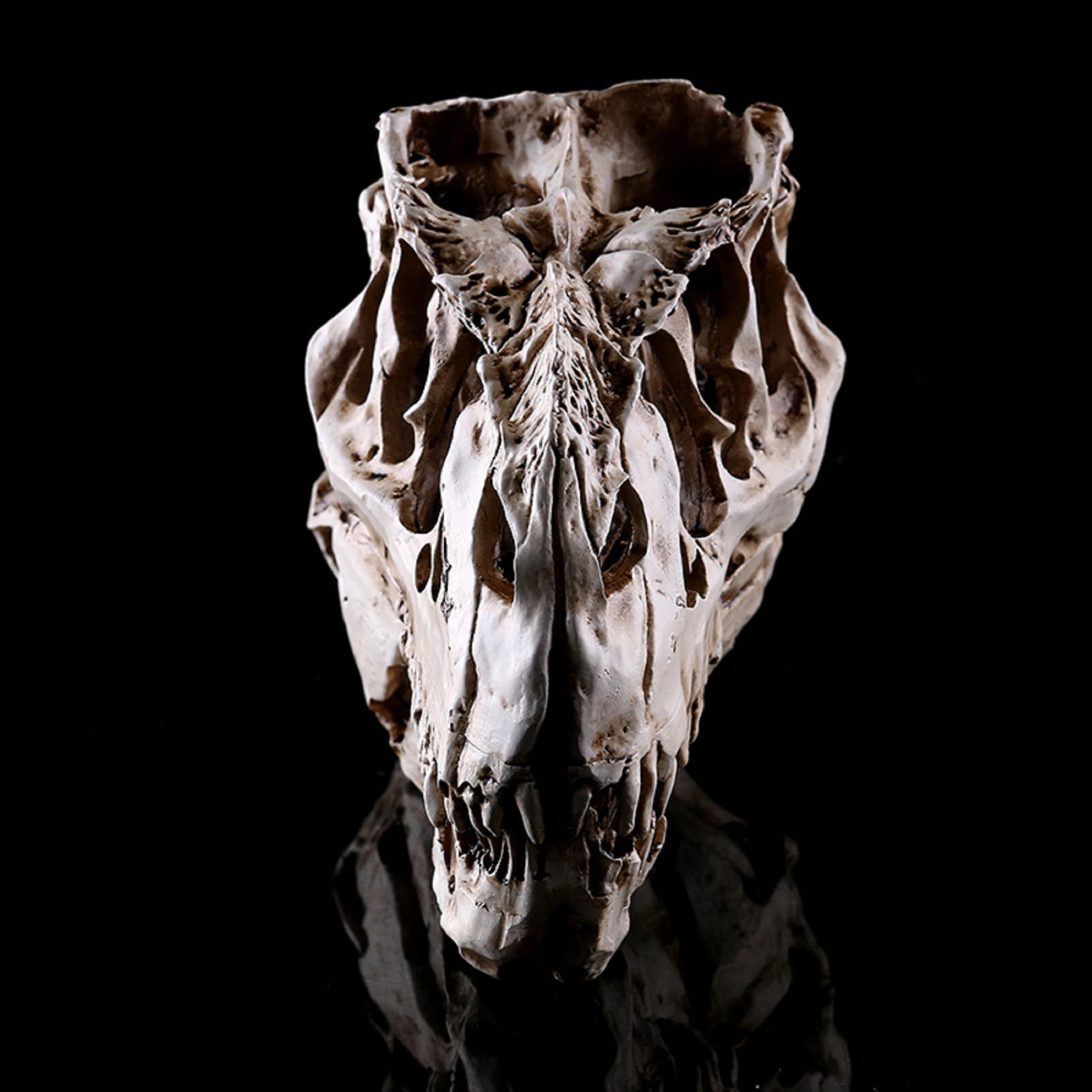

Rare Resin Croc T-Rex T Rex Skull Tyrannosaurus Rex Skull Bonehead by 3DKitbash