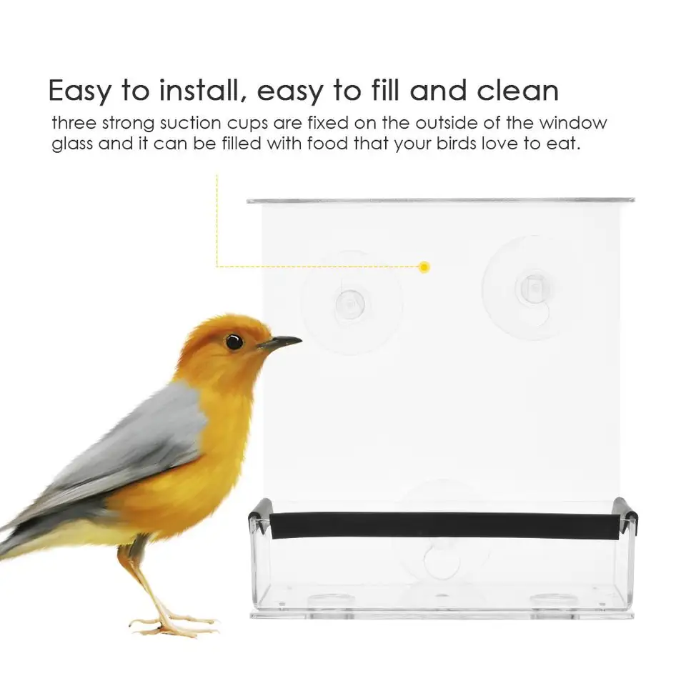 Transparent Weatherproof Design Square Ceiling Window Bird Feeder