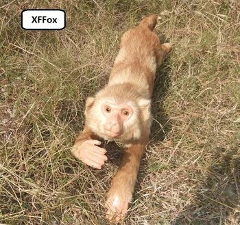 

big simulation monkey model polyethylene&furs real life 1:1 monkey doll gift about 83cm xf0922