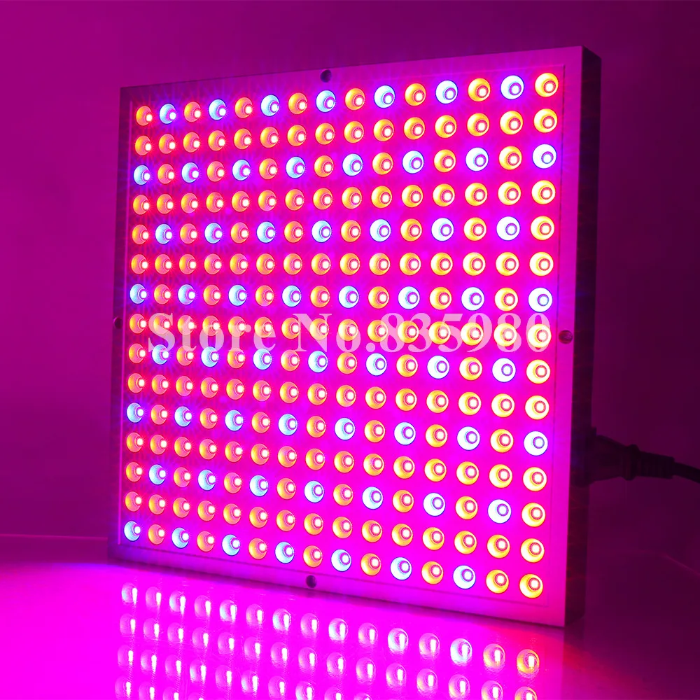 656