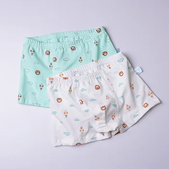 

2 Pcs Boys Underwear Shorts Panties Cartoon Design Children's Boxer Underpants Briefs Soft Cotton Teenager Underware For 1-12Y
