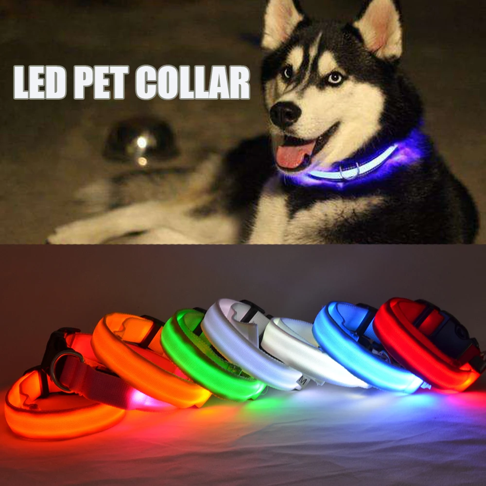 Nylon LED font b Pet b font Dog Collar Night Safety font b Pet b font