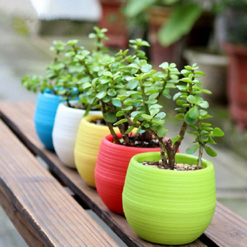 

5pcs/lot Flower Pot Plate Flowers Garden Supplies Decoration Products Flowerpot Nursery Pots Gardening Bowl Potted Plant Stand