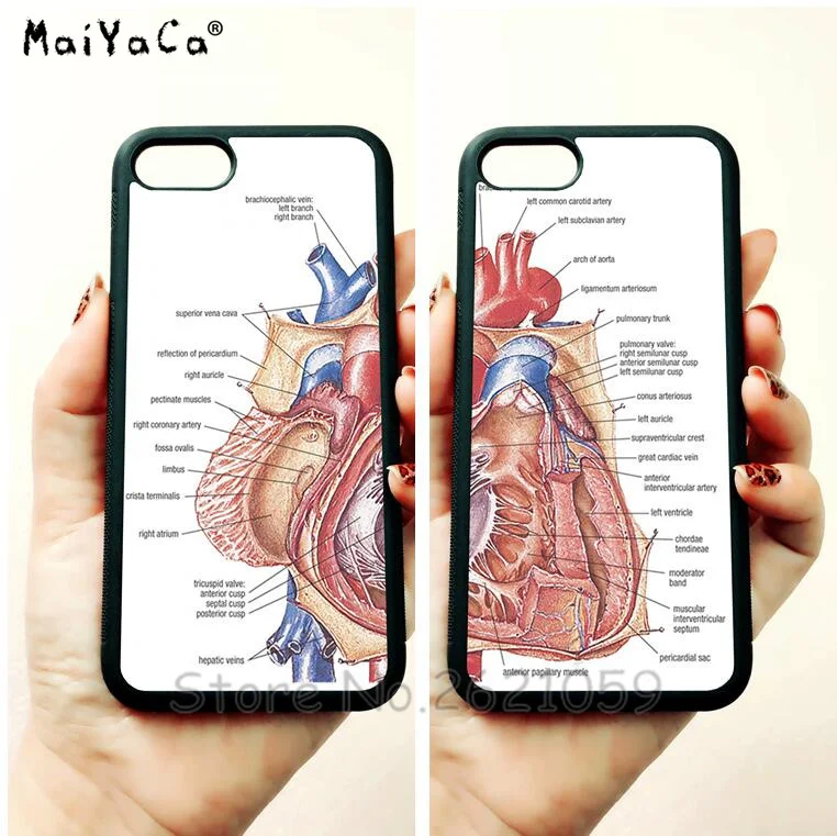 

BFF Heart anatomy love pair soft edge mobile phone cases for apple iPhone x 5s SE 6 6s plus 7 7plus 8 8plus XR XS MAX case