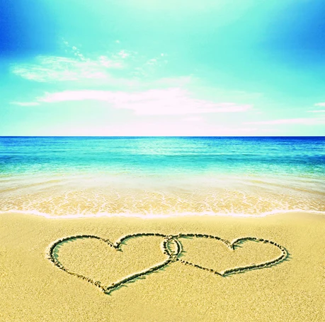 beach sand love wedding photography background muslin computer