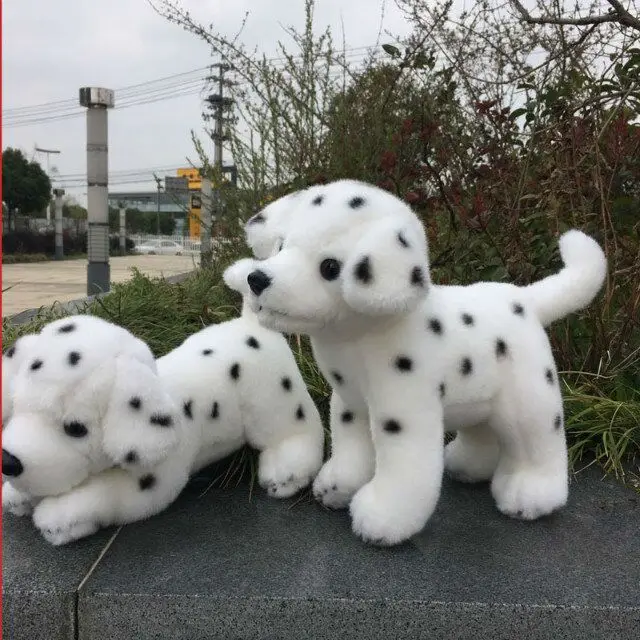 QQ20181204141210
