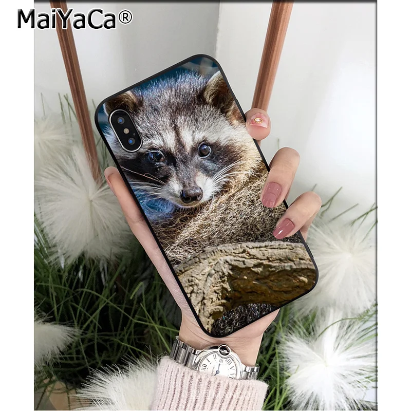 MaiYaCa животное енот лиса высокое качество чехол для телефона iPhone X XS MAX 6 6S 7 7plus 8 8Plus 5 5S XR - Цвет: A13