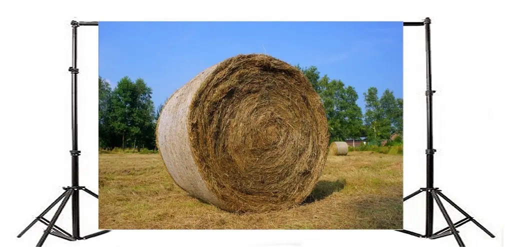 

Photography Backdrop Dry Rural Field with Hay Harvest Landscape