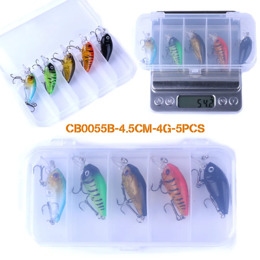 CB005