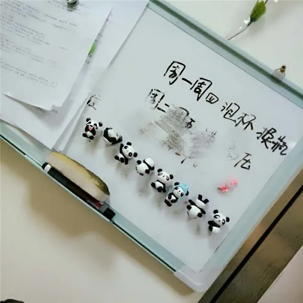 Cute Funny Panda Mini figures pvc toys Fridge Magnets 8pcs - Buyers Show 9