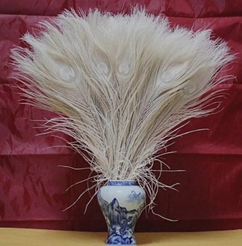 100 PCS/natural white peacock feathers in the eye, 10 to 12 inches of