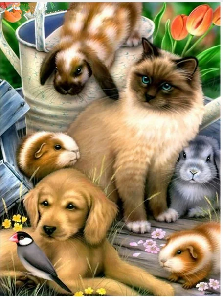 HTB1QbMHk.R1BeNjy0Fmq6z0wVXaF