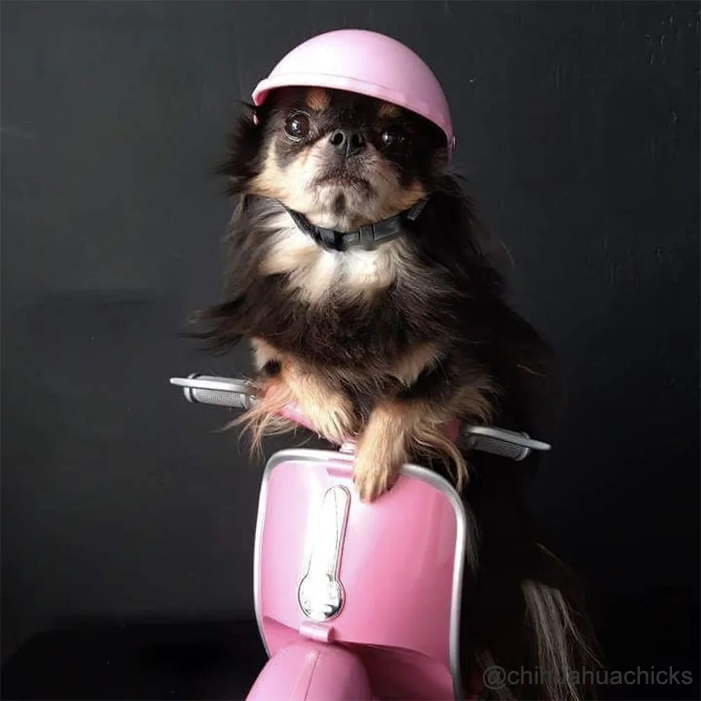 Забавная шляпа для животных собачий Шлем Мотоцикл ABS Кепка для маленьких средних собак кошек Французский бульдог летние аксессуары костюмы для вечеринки в честь Дня Рождения