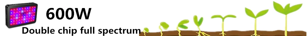 6W