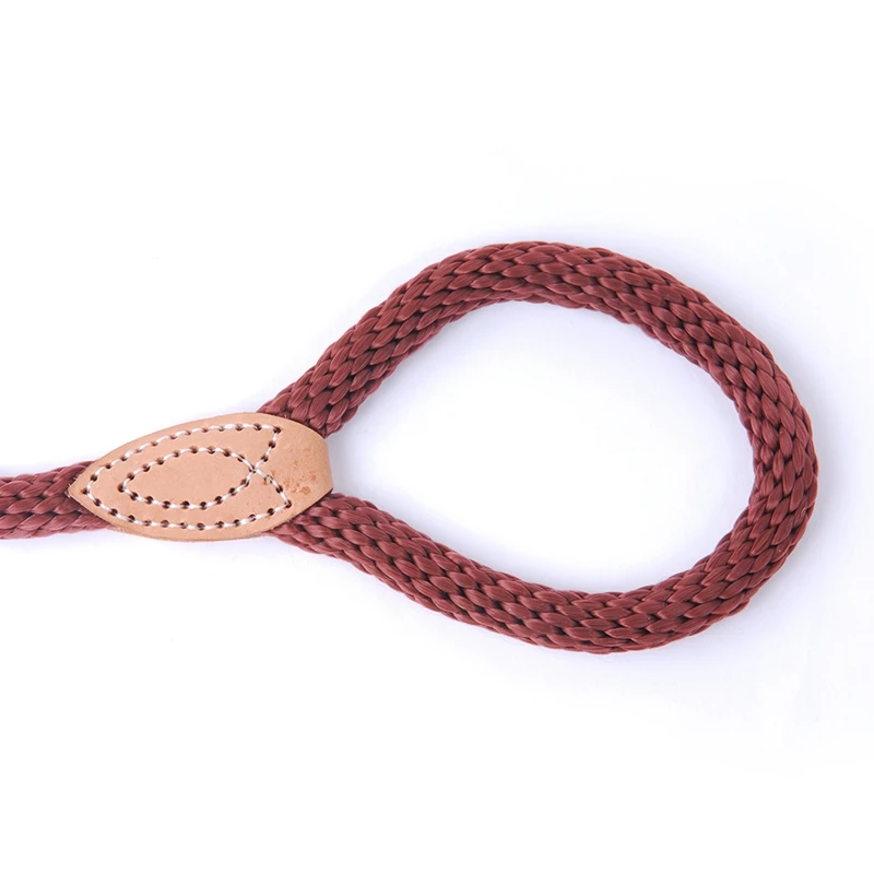 Dog Collar Leash For Small Medium Dogs Pet Products Nylon Dog-Collar Leash Harness Dogs Lead Leashes Rope Training PY0222 (5)
