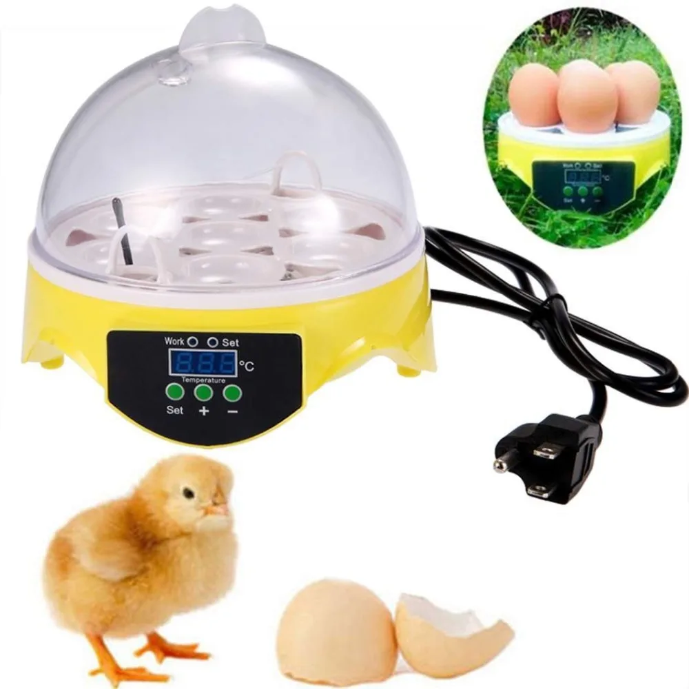 Mini 7 Egg Incubator Poultry Incubator Brooder Digital Temperature Hatchery Machine Hatcher for Chicken Duck Bird Pigeon Mini 7 Egg Incubator Poultry Incubator Brooder Digital Temperature Hatchery Machine Hatcher for Chicken Duck Bird Pigeon