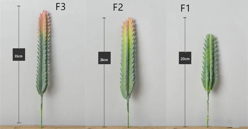5324712749_798695559
