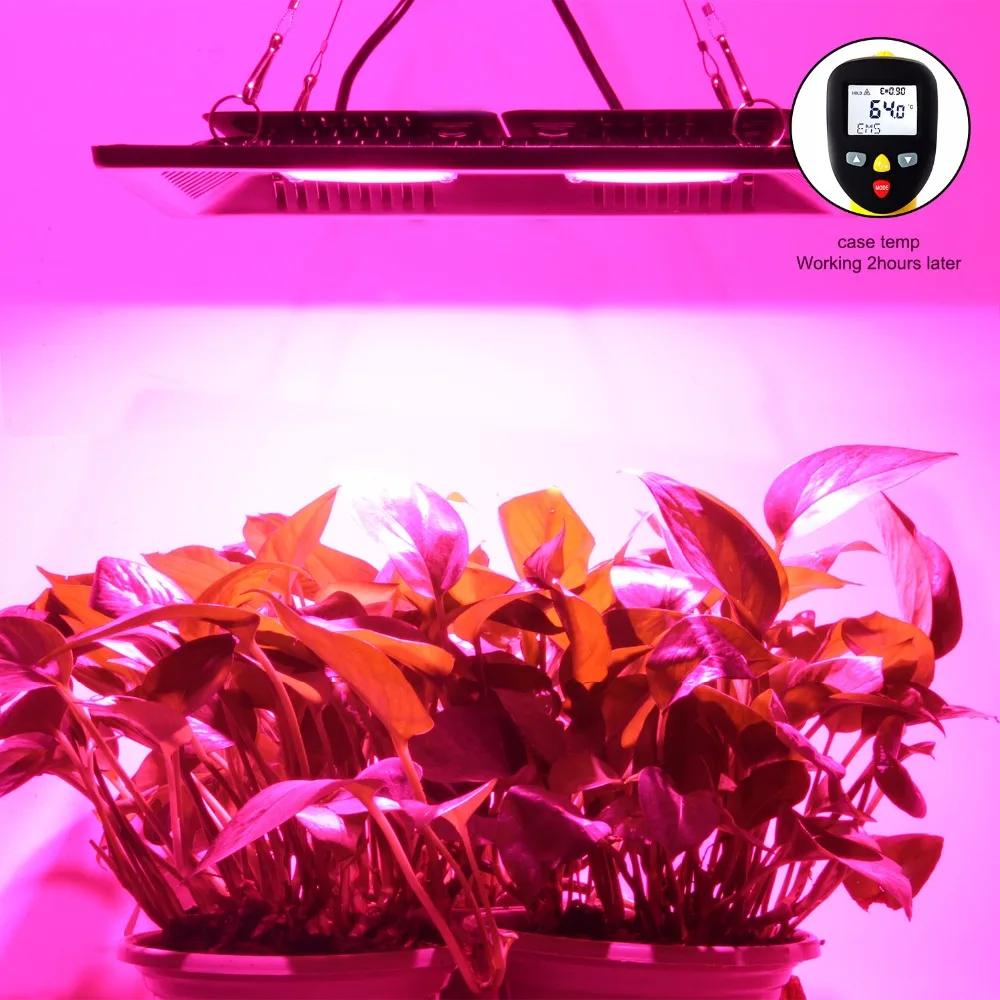 COB Led Grow Light Full Spectrum 100W 200W Waterproof IP67 for Vegetable Flower Indoor Hydroponic Greenhouse Plant Lighting Lamp