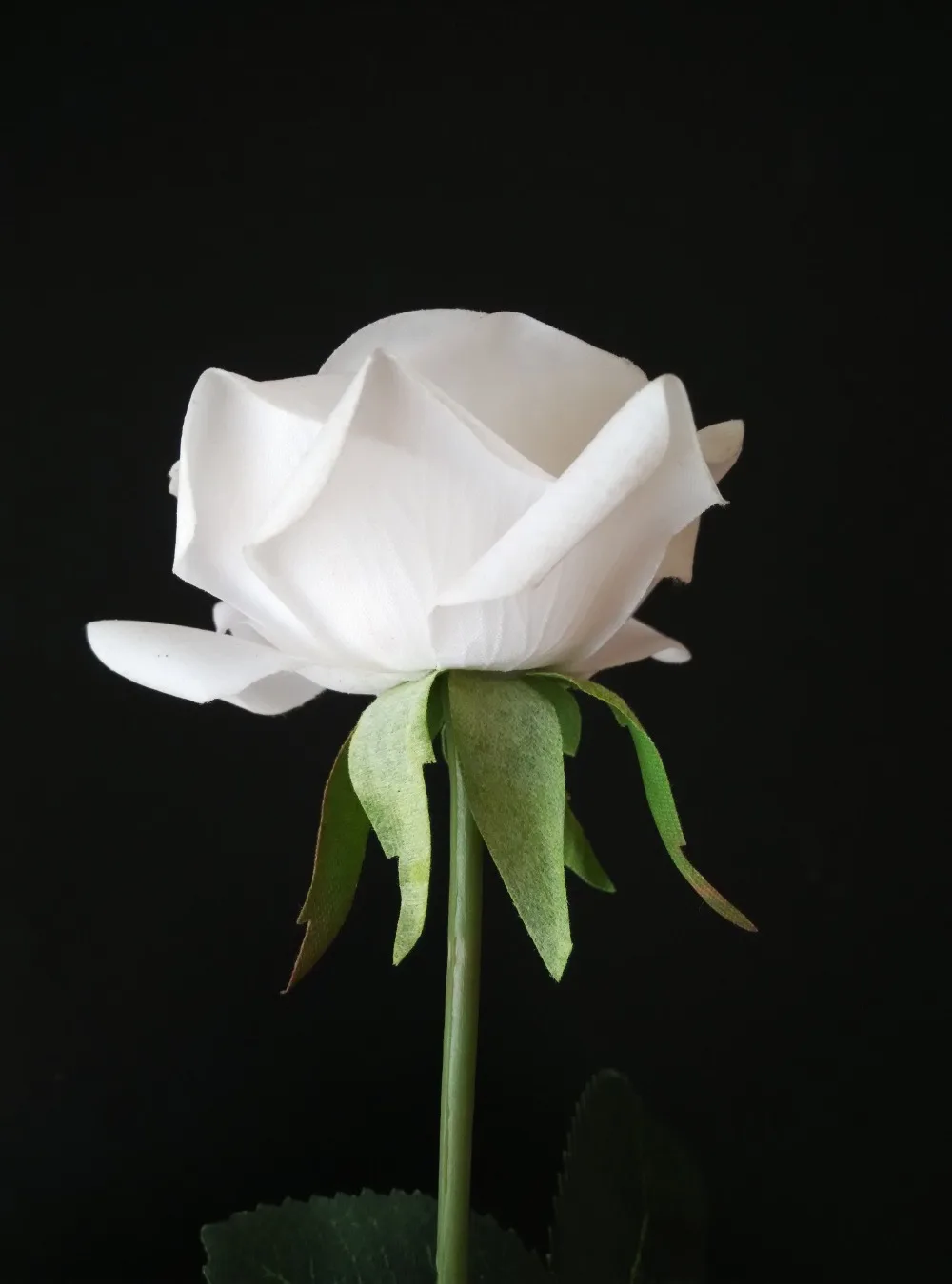 White Garden Rose Boutonniere compare prices on red boutonniere- online shopping/buy low price White Garden Rose Boutonniere compare prices on red boutonniere- online shopping/buy low price