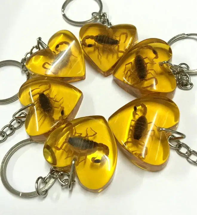 

Free Shipping yqtdmy 12 pcs new shaped keychain with yellow heart goldf scorpion chic jewelry