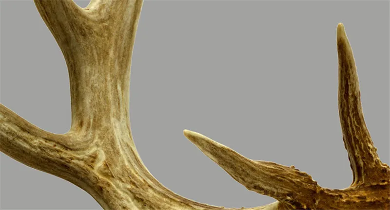 TB2UgDjjlDH8KJjSszcXXbDTFXa_!!1720003363 (1)