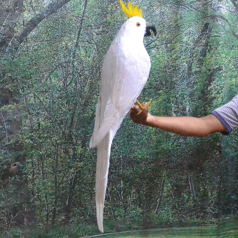Besar 80 Cm Simulasi Parrot Bulu Putih Kakatua Burung Beo Burung