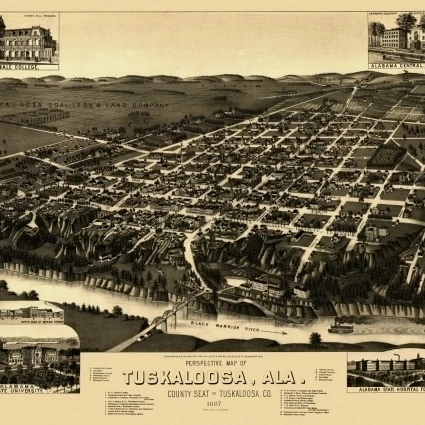Old Map of Tuskaloosa Alabama 1887 Tuskaloosa County Poster Print (36 x 54)
