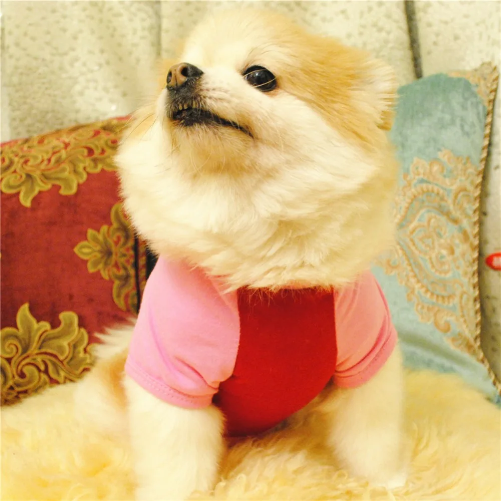 Title 36, Pet Dog Clothes for Dogs Clothing for Small Dog...