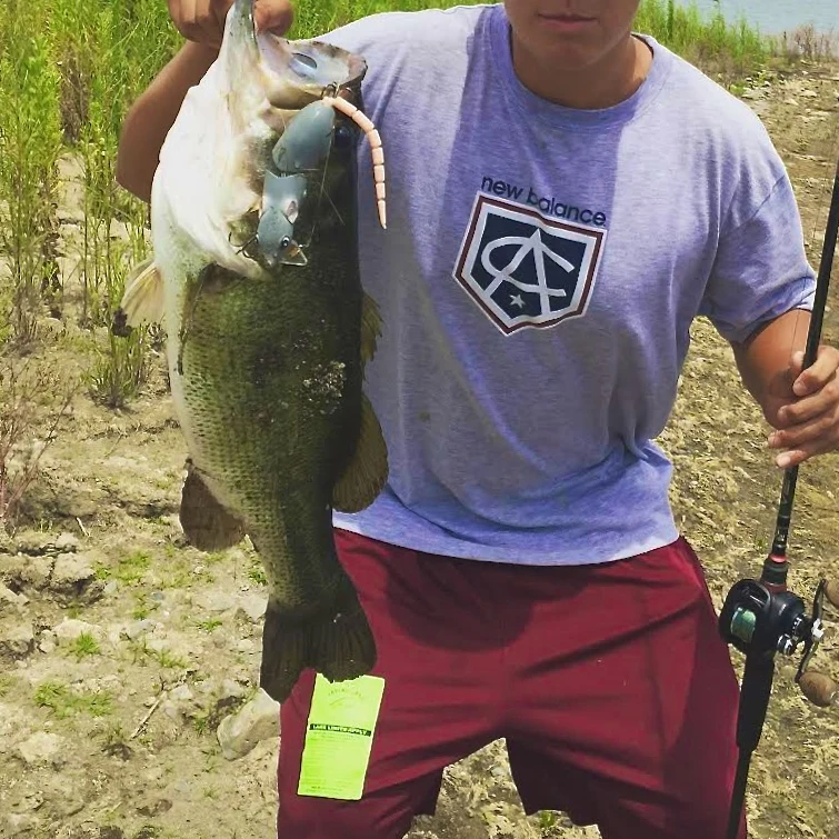 Hunthouse الصلب الصيد السحر باس بايك سمك السلمون المرقط صوتها الطعم الموالية إغراء الصلب swimbait والعتاد اليابان المفترس برو bbz-1 الفئران