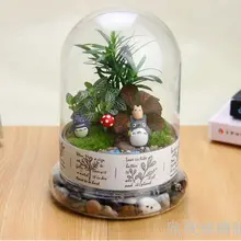 Микро экологический многофункциональный 1 набор стеклянная ваза Террариум горшок для суккулентов домашний декор с пейзажем подарок Гидропоника бутылка
