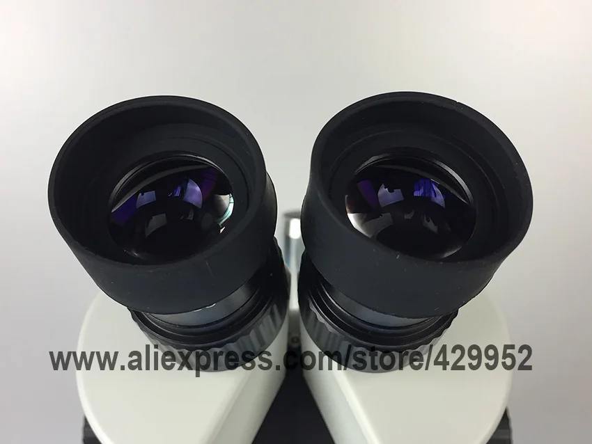 HTB1K.CpQpXXXXbtXpXXq6xXFXXX7