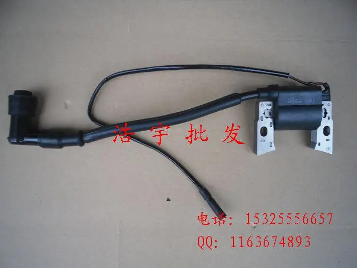 

Wholesale gasoline engine accessories EF2600/MZ175 ignition coil/magneto Assembly