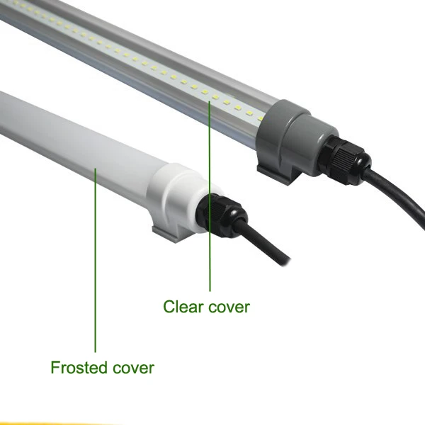 T12 TUBE-1