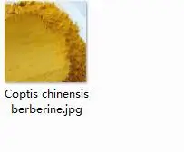 300 грамм набор Coptis chinensis berberine - Цвет: 300g Coptis chinensi