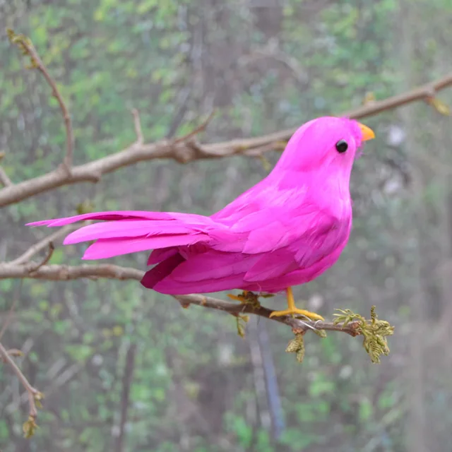 pembe kuş ile ilgili görsel sonucu