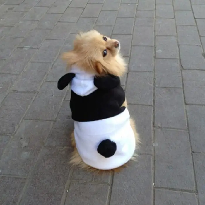 Модный брендовый пуловер из флиса для собак с капюшоном и ушками панды, теплое пальто, верхняя одежда XS/S/M/L/XL
