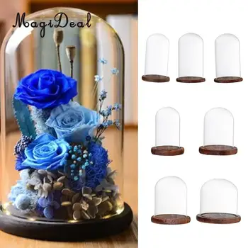 

MagiDeal Set 7 Glass Cover Landscape Vase Terrarium Container Flower Holder for Christmas Wedding Home DIY Decoration