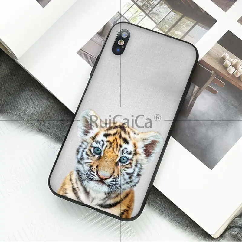 Animal dog cat tiger penguin baby