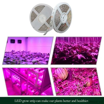 

5m Full Spectrum Plant Growth LED Strip Light 5050 Chip LED Grow Lamps For Greenhouse Hydroponic Plant