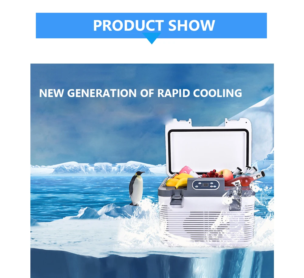 19л автоматический мини-холодильник портативный холодильник автомобильный морозильник охладитель нагреватель двойная холодильная система Daul использовать ледяной ящик светодиодный дисплей